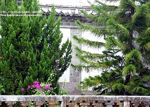 090 - Tuanshan
